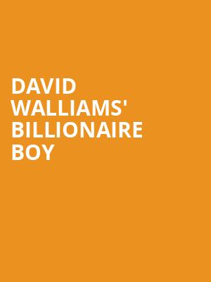 David Walliams' Billionaire Boy  at Bloomsbury Theatre